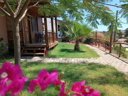 Karpaz farm guest house - main image