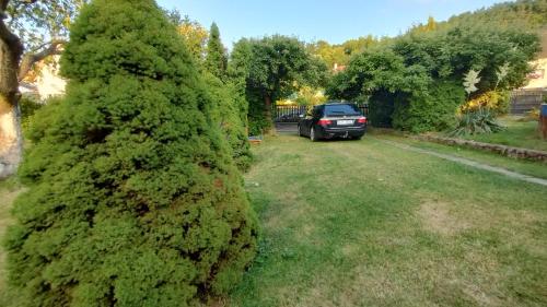 Garden, Prague Zbraslav Old Garden in Zbraslav