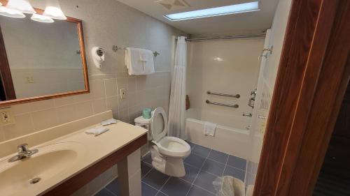 Ramada by Wyndham Saginaw Hotel & Suites - image 4