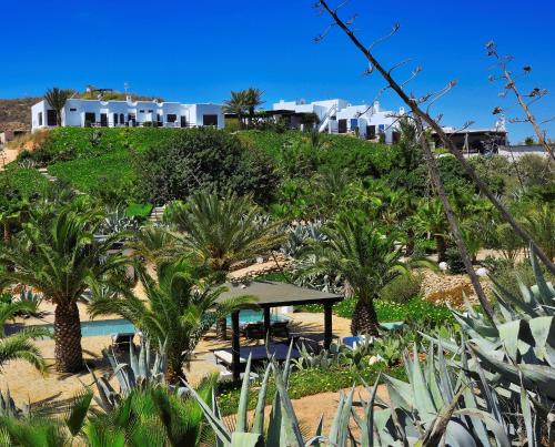  La Almendra y El Gitano, Agua Amarga bei El Cerro Blanco