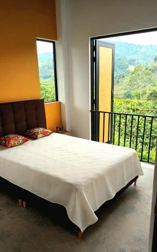 Finca Abisinia