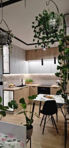 . Magic House Apartament Proszowska 58 II