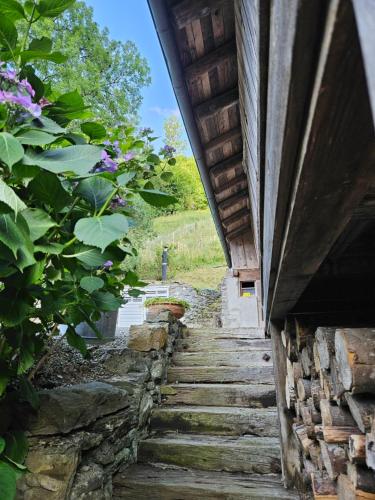 Traditional Chalet with some luxurious features