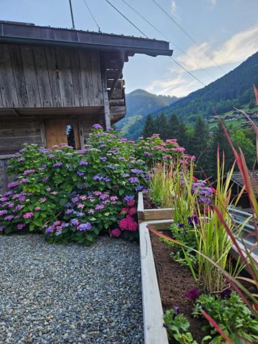 Traditional Chalet with some luxurious features