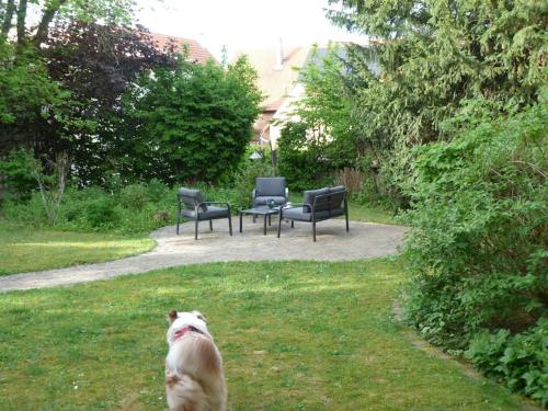 Maisonette-Appartment in historischem Ambiente Maisonette-Appartment in historischem Ambiente