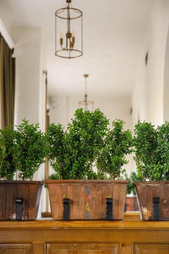 ETHNO HOTEL - image 7