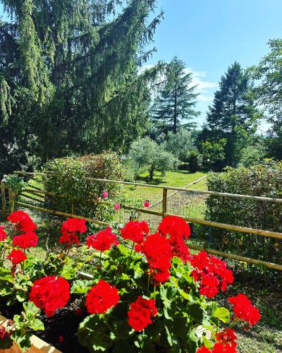 Il Bosco e Il Borgo Guest House Subiaco