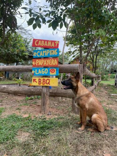 Villa oso, un alojamiento rural unico