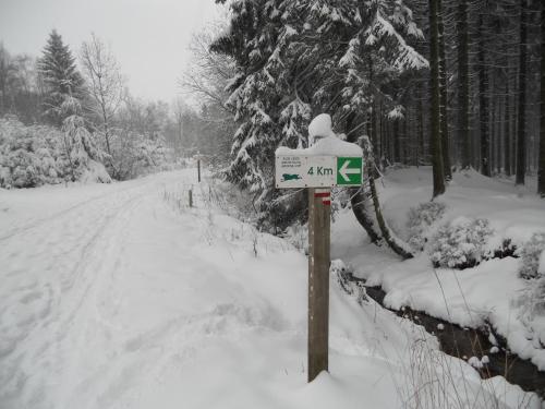 Bed and Breakfast Maison Ruthier – Waimes, MI
