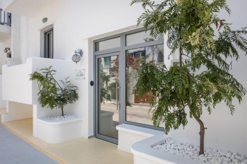  Zas Studios in Naxos Chora