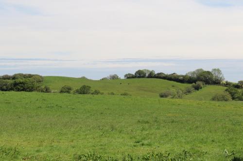 Knapp Farm Glamping Lodge 1 in 比明斯特