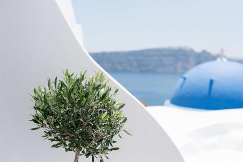 Evmenia Luxury Cave Villa - image 3