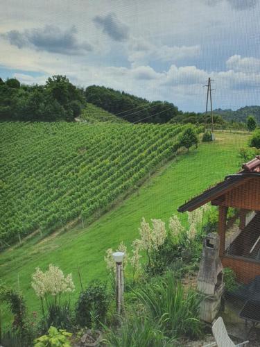 Ümbrus, Turistično - Izletniška kmetija Žerjav (Turisticno - Izletniska kmetija Zerjav) in Pisece