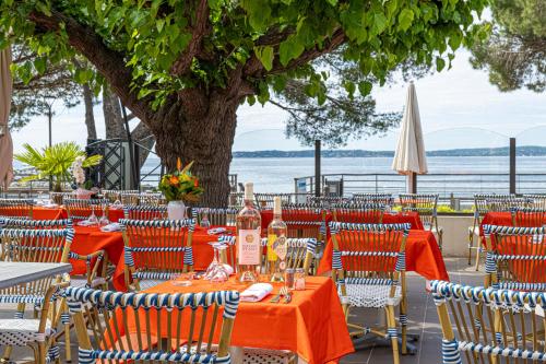 Logis Hotel Le Provencal - image 8