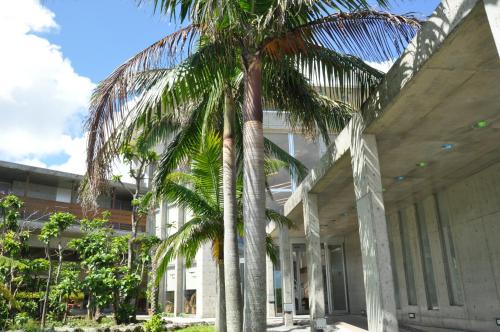 西表島密林瑪雅酒店 Iriomotejima-Jungle Hotel Painumaya