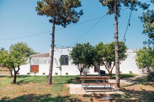 Facilities, La corte dei limoni due in San Cassiano