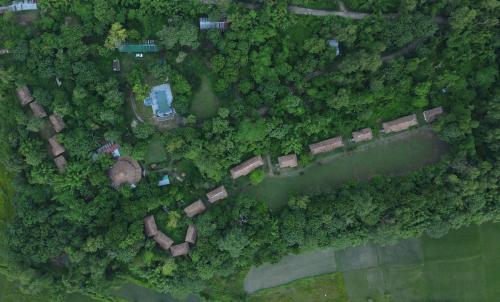 Temple Tiger Green Jungle Resort — other in Amaltari,Nawalparasi, Chitwan National Park 3968, Nepal, Chilha, 3968, Nepal
