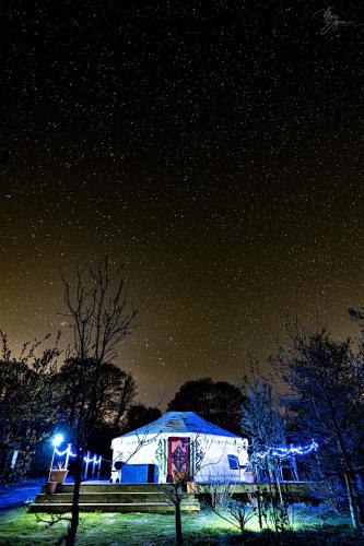 The Yurt in Cornish woods a Glamping experience, Penzance (foto 7)