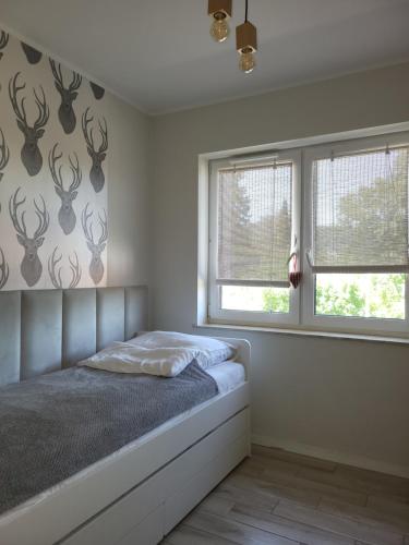 Apartament Pod Jelonkiem, Szklarska Poręba (foto 5)