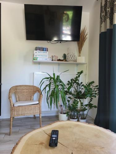Apartament Pod Jelonkiem, Szklarska Poręba (foto 4)