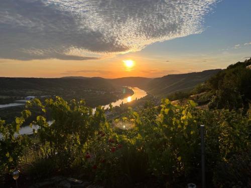 Apartment an der Mosel 2