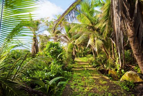 Hilton Seychelles Labriz Resort & Spa