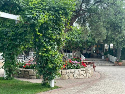 Garden, AMNISIADES APARTMENTS in Nea Alikarnassos