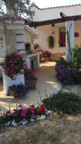 Villa in spiaggia tra fiori e mare