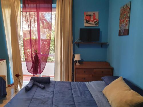  La capannina cilento cam 12 in San Marco di Castellabate