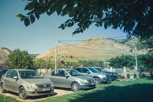 Pensiunea La nenea Iancu