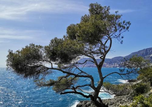  Incantevole Bungalow indipendente a due passi mare, Unterkunft in Latte