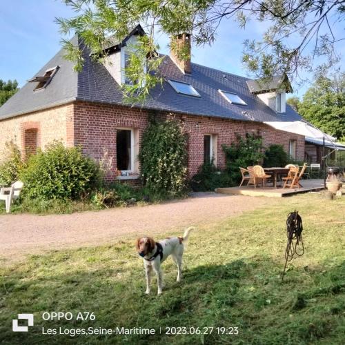 Une chambre dans la verdure - Pension de famille - Bordeaux-Saint-Clair