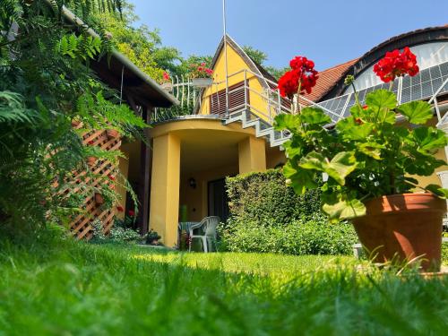  Óvár 12 Vendégház, Pension in Tokaj