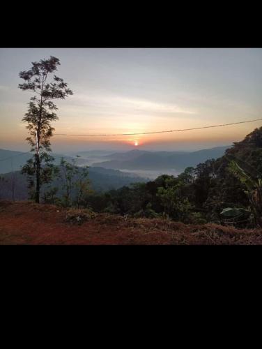 Coorg Adventure nest