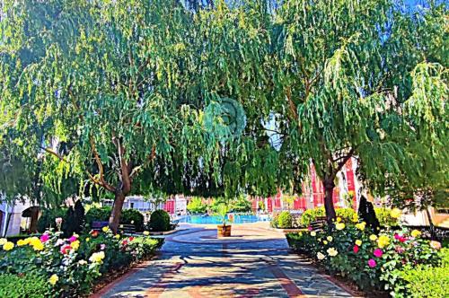 Sorrento Sole Mare - Apartments by the beach Sveti Vlas Bulgaria