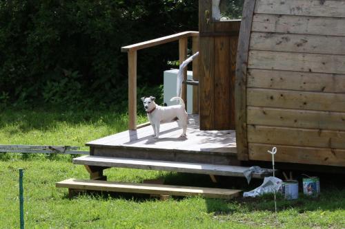 Knapp Farm Glamping Puki Pod in 比明斯特