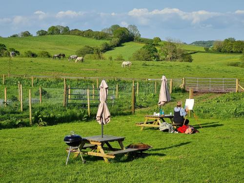 Knapp Farm Glamping Puki Pod in 比明斯特