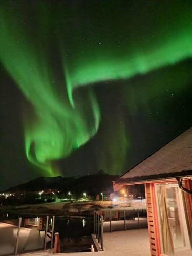 Hytte på Sør Senja med nydelig utsikt og jacuzzi