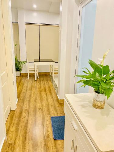 Kemhome Tô Ngọc Vân