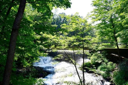 Luxury Cottage at Millpond Falls