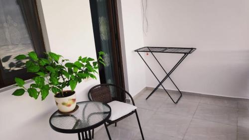 Гостевой Дом в Кобулети - Apartment - Kobuleti