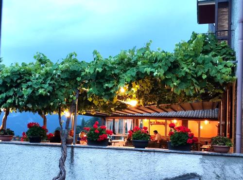 Ristorante Bellavista con Locanda 4