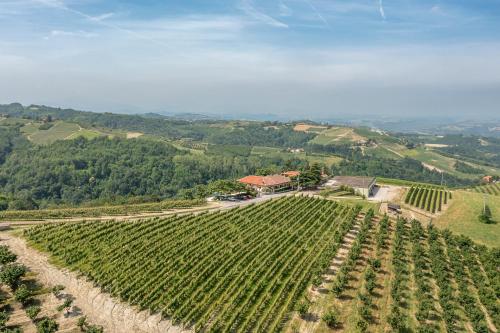  Agriturismo Cantine Bevione - Rooms with air conditioning in Belvedere Langhe