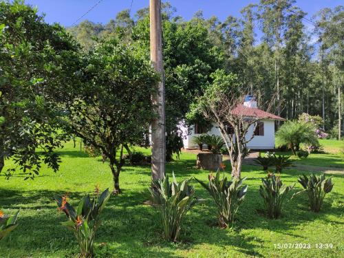 Casa térrea em meio ao verde!