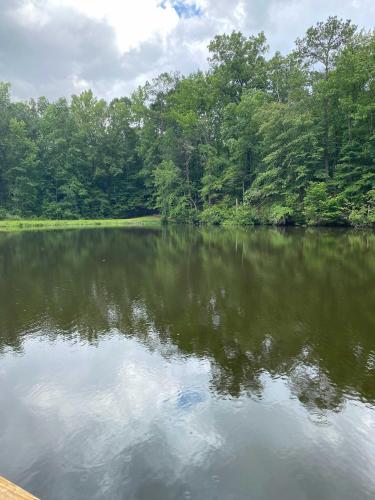 Lakefront Hamilton Cabin with Dock and Fire Pit!