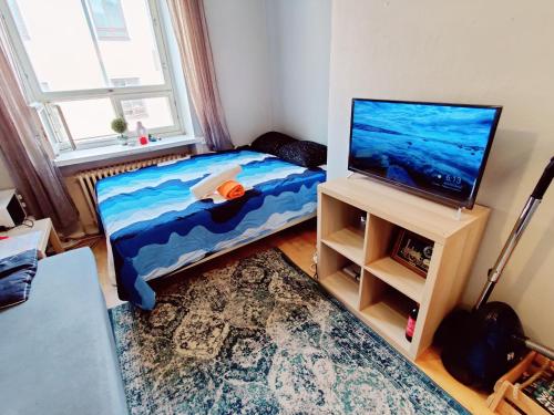 Central apartment in Helsinki, Helsinki (foto 2)