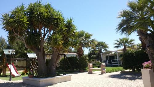 Akramar Village - image 5