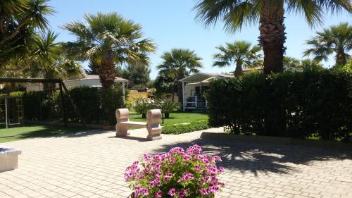 Mobile Home image 10