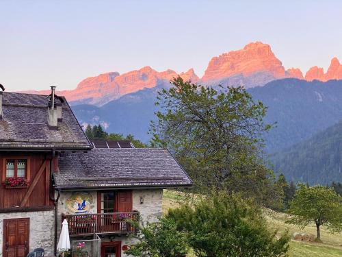 Monolocale in chalet alpino 022143-AT-010681 1