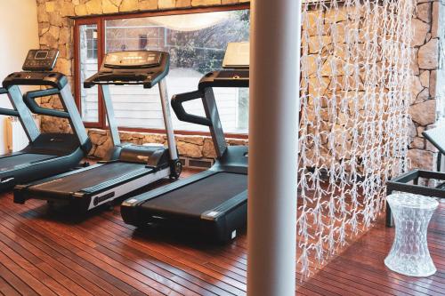 Rochester Bariloche Suites & Spa - 피트니스 센터